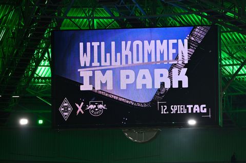 Zwölf Minuten schwiegen die Fans im Borussia-Park. Foto: Ulrich Hufnagel/dpa