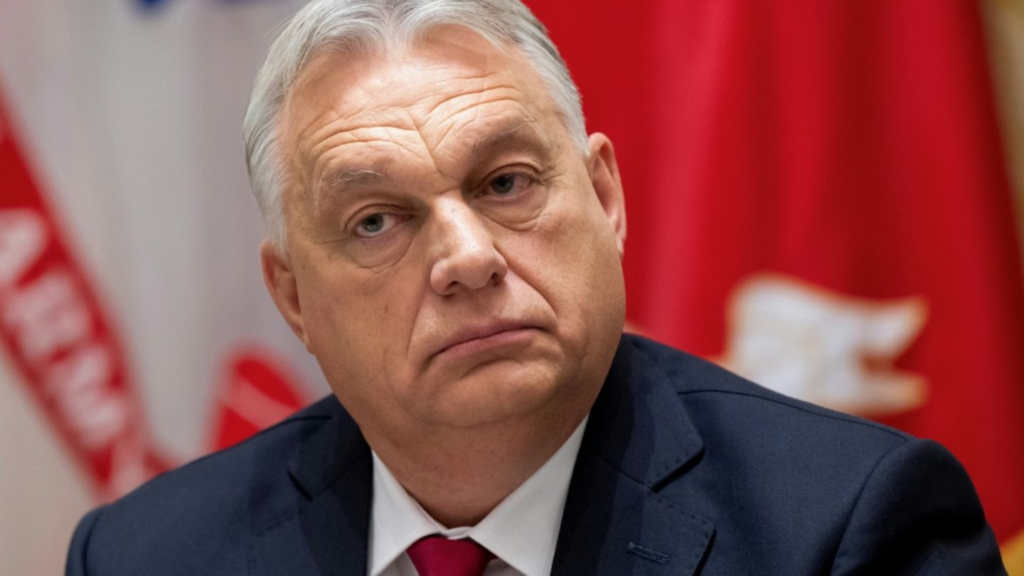 Ungarns Ministerpräsident Orban sieht Ukraine nach Kriegsende als "Pufferstaat"