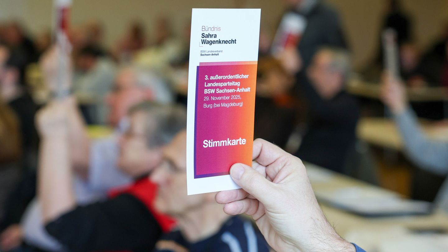 Bei einem Sonderparteitag des BSW in Sachsen-Anhalt sollen fünf von acht Vorstandsmitgliedern abgewählt werden. Foto: Peter Gerc