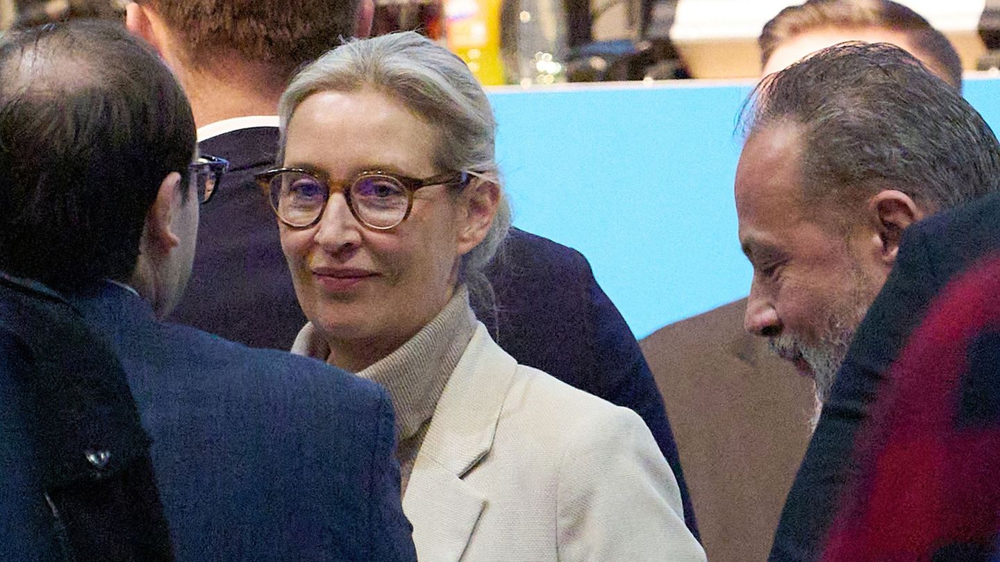 AfD-Chefin Alice Weidel: Die neue AfD-Jugendorganisation soll "Kaderschmiede" sein. Foto: Thomas Frey/dpa