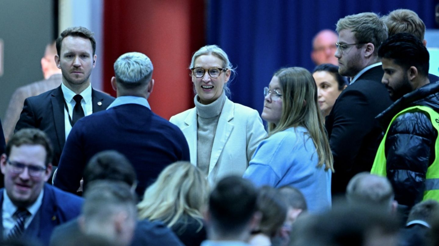 Weidel in Gießen