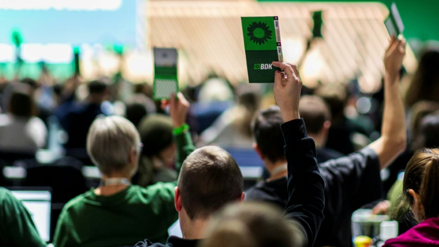 Grünen-Parteitag in Hannover