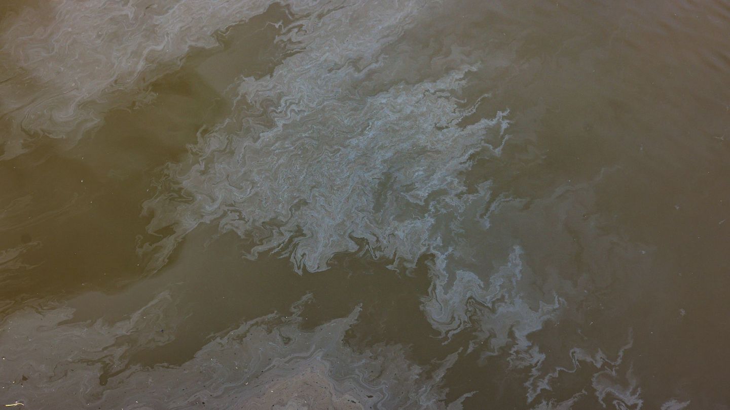 Ölschlieren ziehen sich auf der Elbe. (Symbolbild) Foto: Ulrich Perrey/dpa