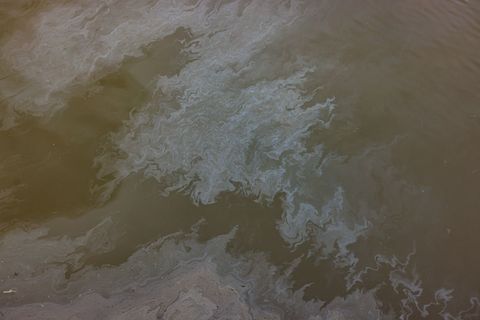 Ölschlieren ziehen sich auf der Elbe. (Symbolbild) Foto: Ulrich Perrey/dpa