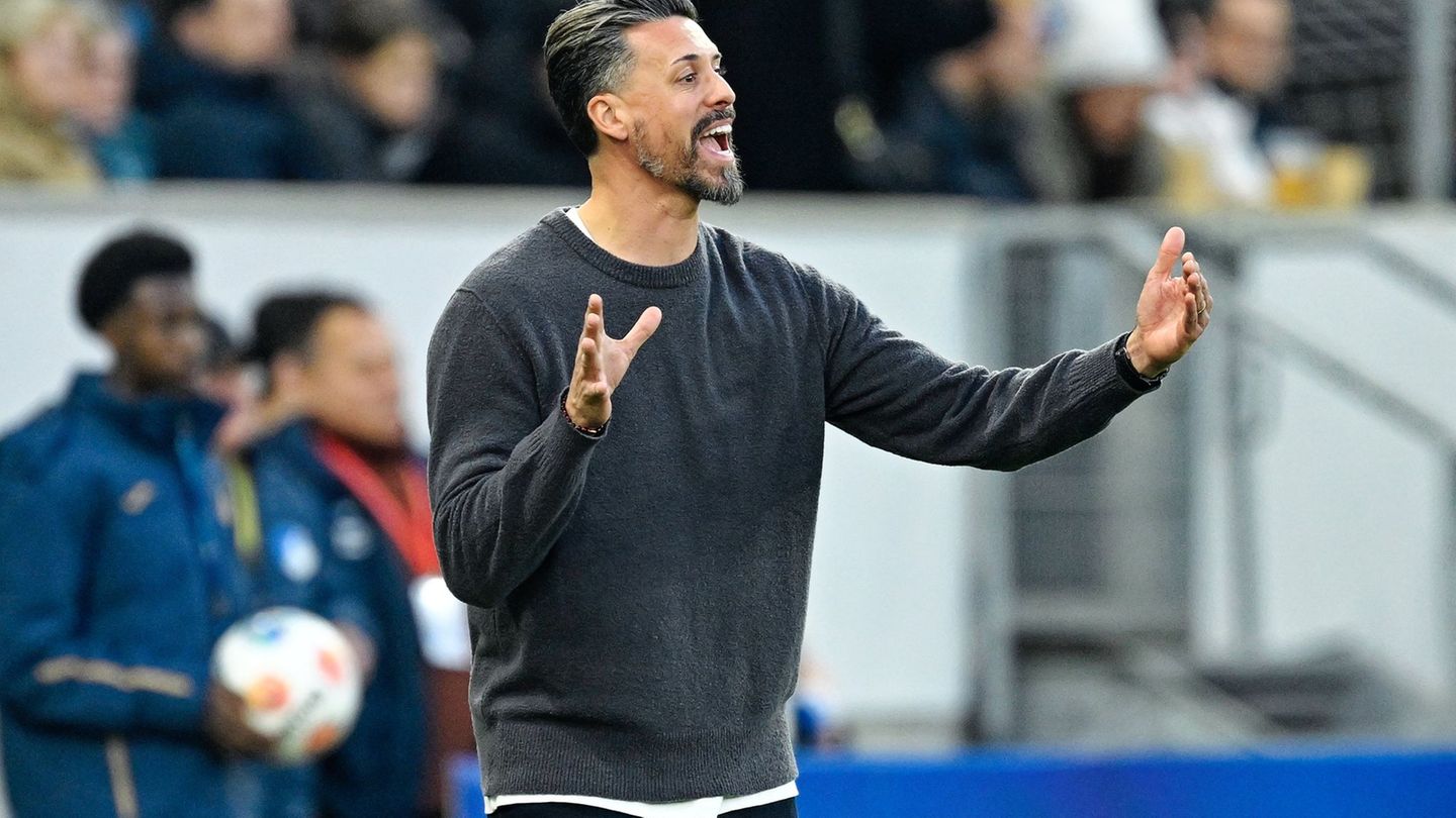 Fu-ball-Bundesliga-Hoffenheim-vermiest-Wagner-Geburtstag-und-R-ckkehr