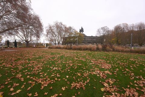 Wenig winterlich beginnt der meterologische Winter in Rheinland-Pfalz und dem Saarland. (Symbolbild) Foto: Thomas Frey/dpa