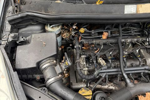 In höchster Not fanden Feuerwehrler eine eingeklemmte Katze in einem Auto vor. Foto: --/Berufsfeuerwehr Augsburg/dpa