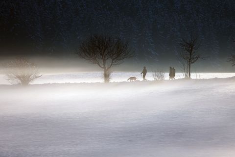 Nebel und Schnee wird vom Wetterdienst vorhergesagt. Foto: Karl-Josef Hildenbrand/dpa