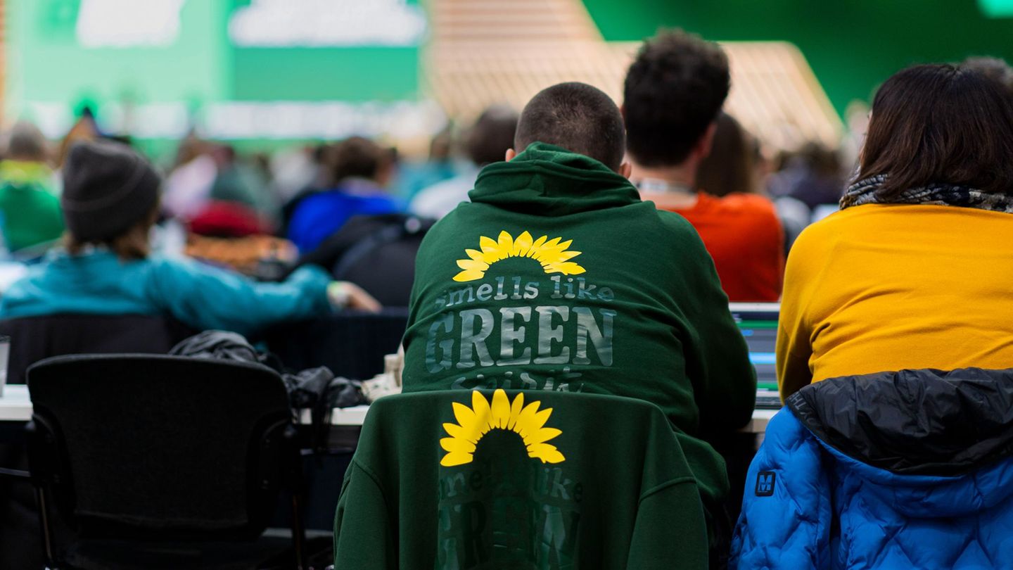 Die Grünen sehen sich in stürmischen Zeiten. Foto: Michael Matthey/dpa