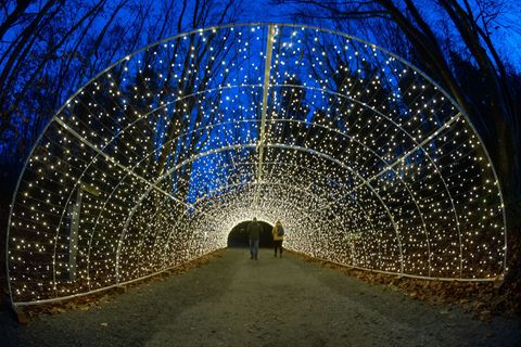 Hunderttausende LED-Lichter erhellen auch den Pfad und den Aussichtsturm "Adlerhorst". Foto: Stefan Sauer/dpa