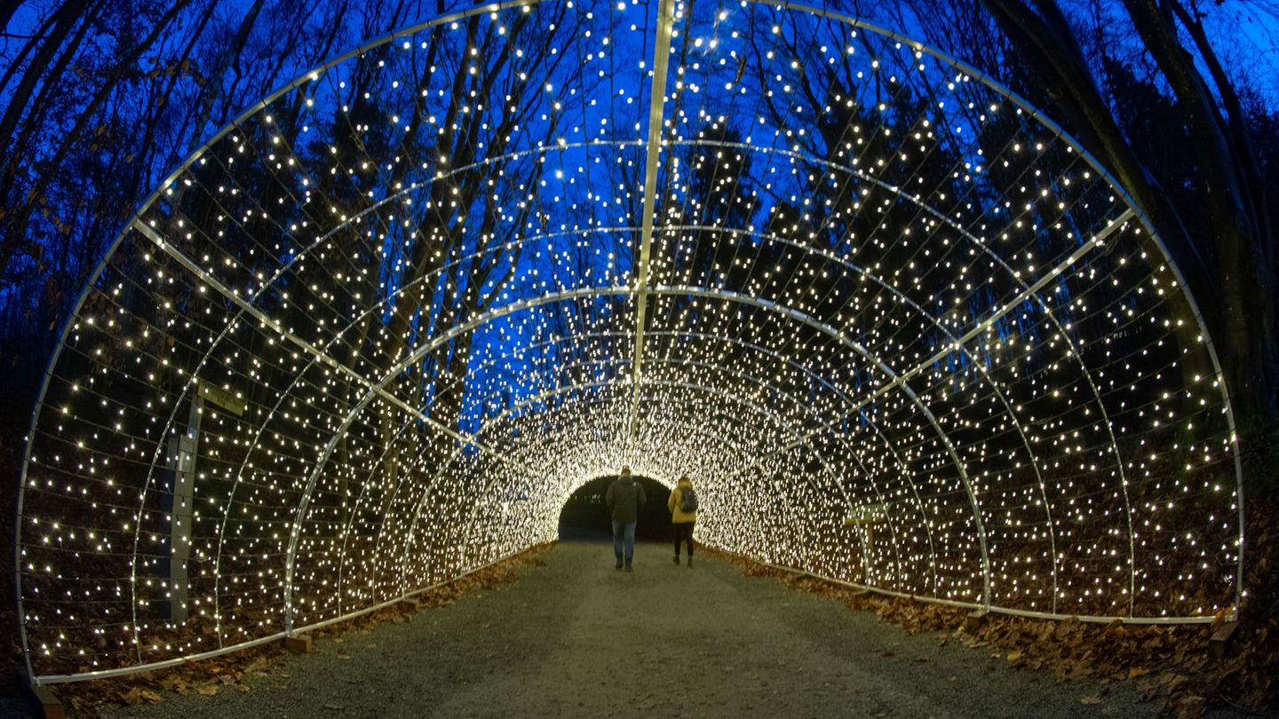 Hunderttausende LED-Lichter erhellen auch den Pfad und den Aussichtsturm "Adlerhorst". Foto: Stefan Sauer/dpa