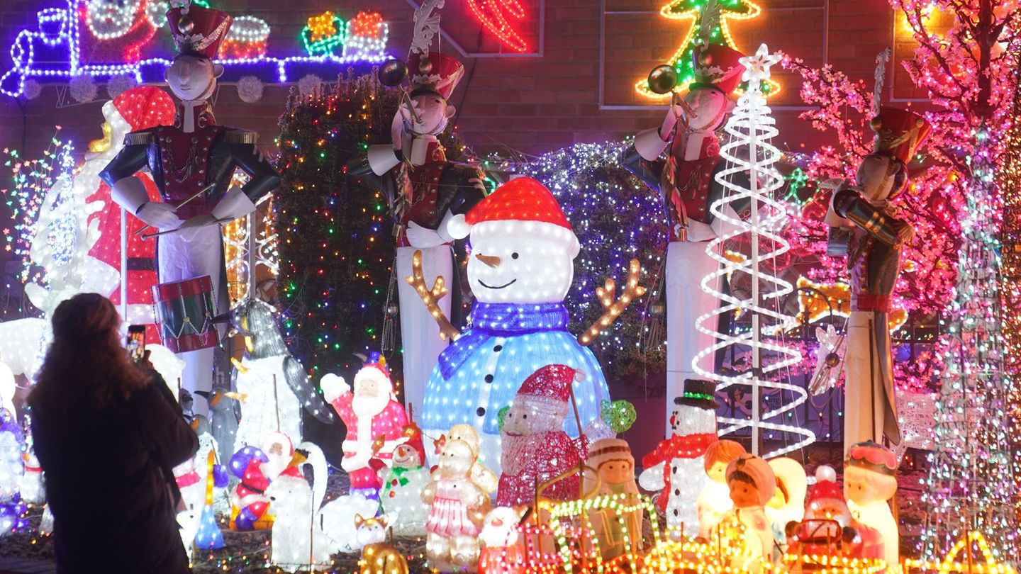 Natur-Expertin-Helle-Weihnachtsbeleuchtung-st-rt-Tiere-Tipps