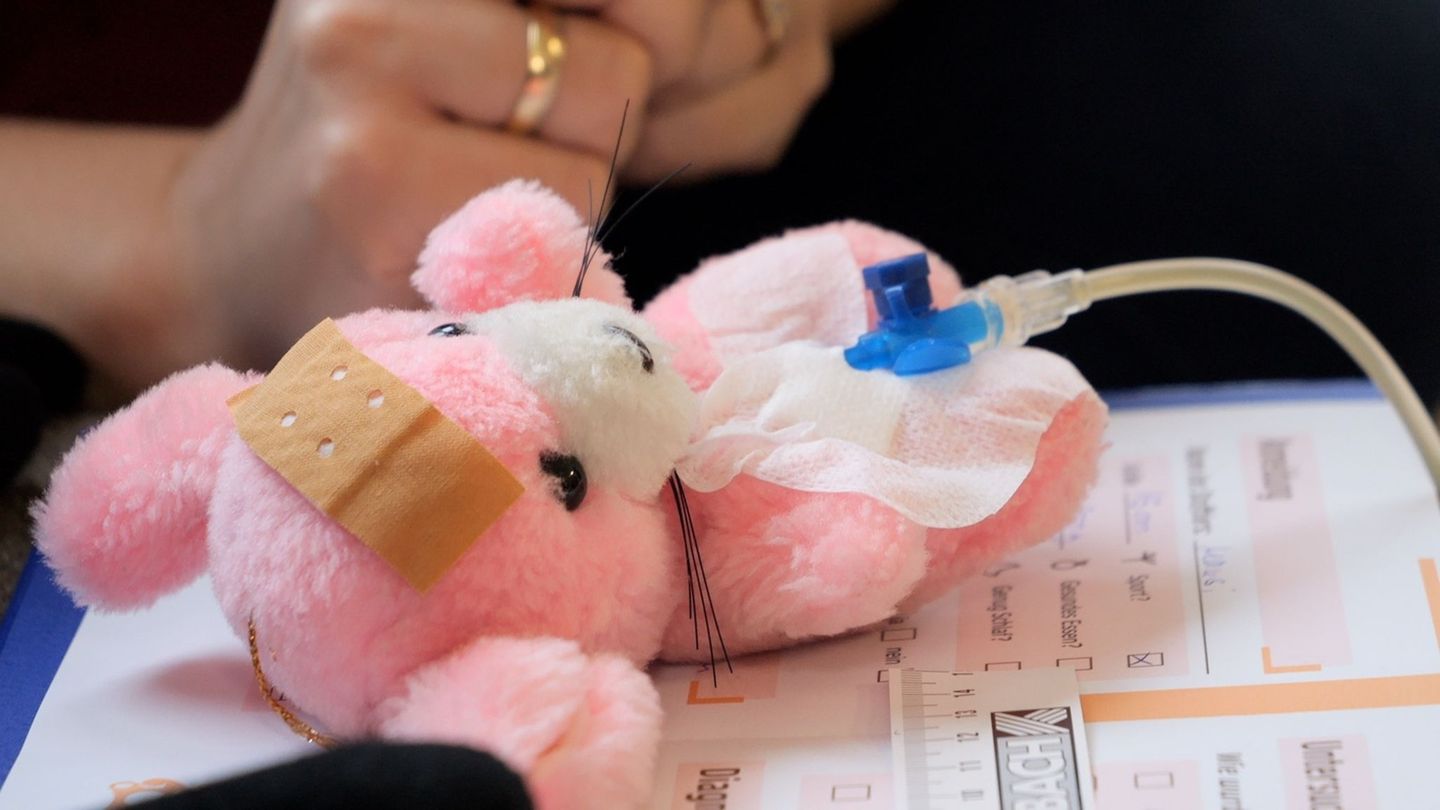Die pinkfarbene Stoffmaus "Mausi" kam mit Bauchschmerzen zum Arzt – und wurde in Bissendorf liebevoll von kleinen Händen versorg