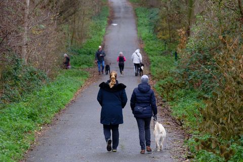 Zum Wochenstart wird es in vielen Regionen Deutschlands heiter bis wolkig. Foto: Henning Kaiser/dpa