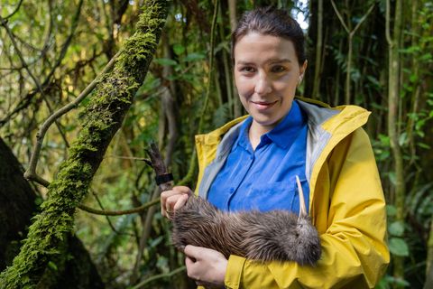 Gemeinsam mit "Terra X" begibt sich die Artenschützerin Hannah Emde nach Neuseeland.
