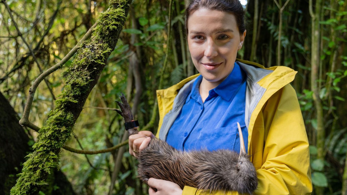 Gemeinsam mit "Terra X" begibt sich die Artenschützerin Hannah Emde nach Neuseeland.