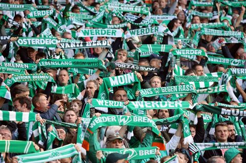 Fußballfans im Stadion