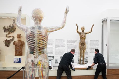 Das historische Modell der Gläsernen Frau wird im Deutschen Hygiene-Museum fortan in einer Klimavitrine präsentiert. Foto: Sebas