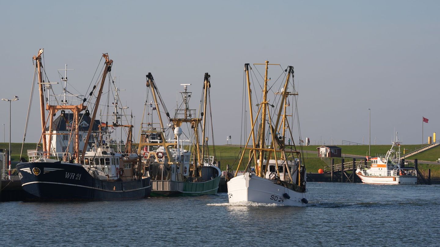Der Bund zahlt Prämien an Fischer, die ihre Nordsee-Fischkutter aufgeben. (Archivbild) Foto: Marcus Brandt/dpa