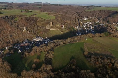 In einem Waldgebiet bei Monreal wurde die Leiche gefunden. Foto: Sascha Ditscher/dpa