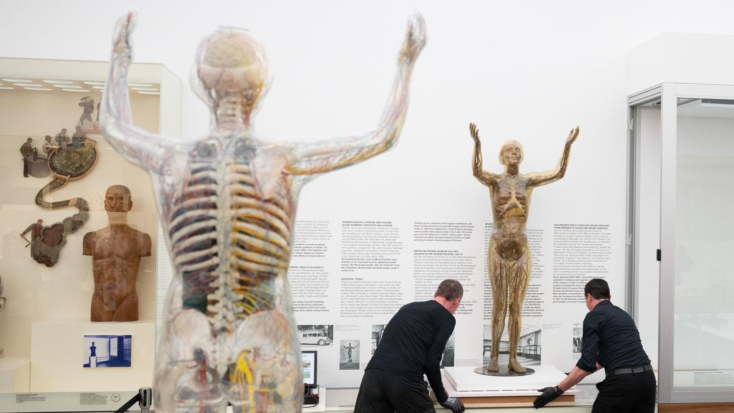 Dresden, Deutschland. Vorsichtig heben Museumsmitarbeiter im Deutschen Hygiene-Museum die historische Gläserne Frau in eine eigens für sie angefertigte Klimavitrine. Die Spezialanfertigung in der Dauerausstellung des Museums bietet der Figur aus den Jahren 1935/36 optimale konservatorische Bedingungen und bewahrt ihre anatomischen Details für kommende Generationen