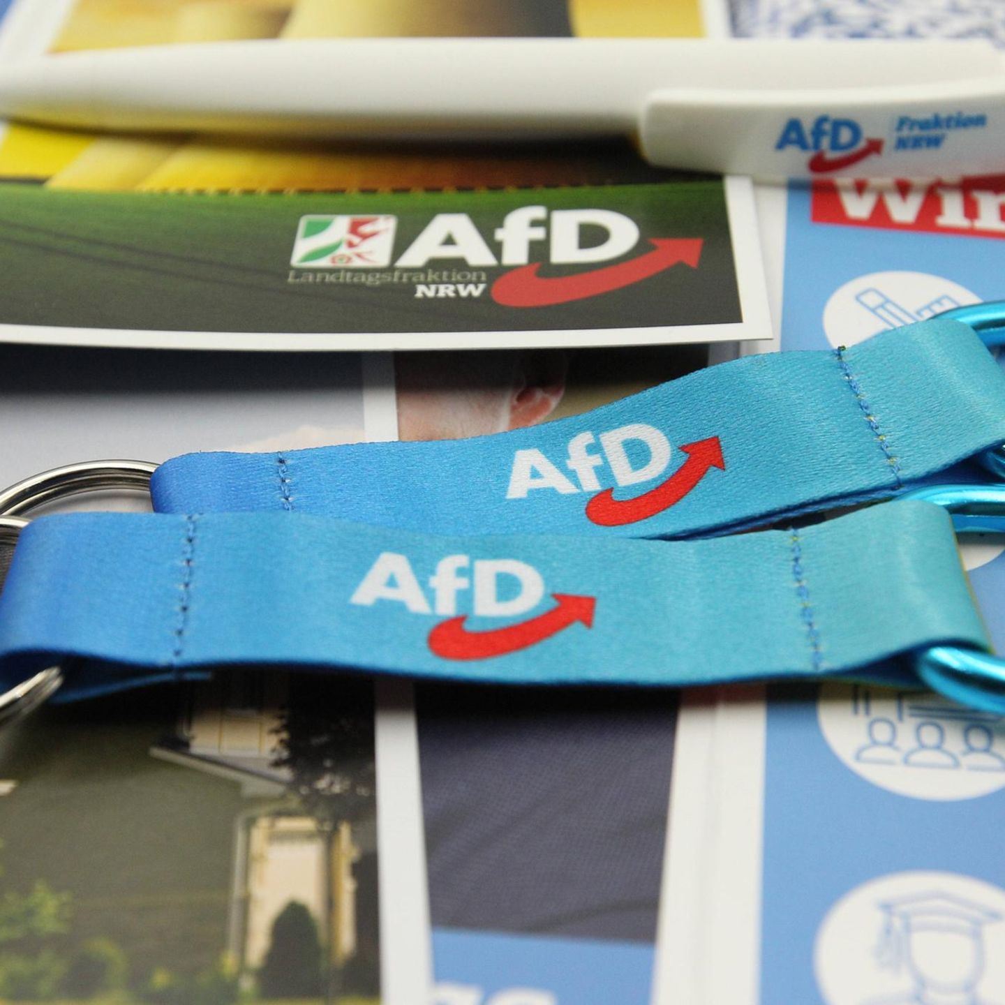 Werbemittel der AfD