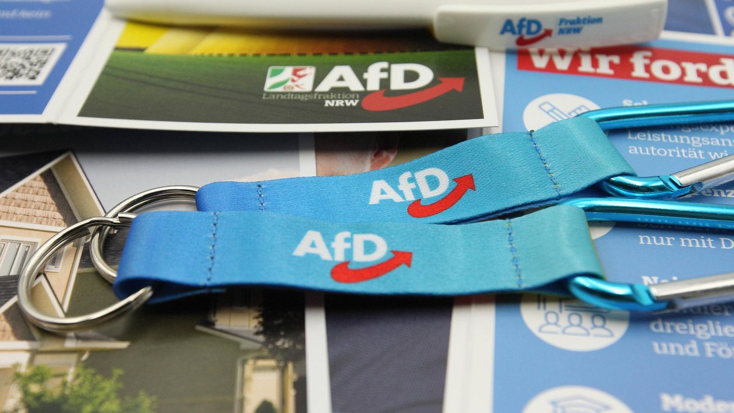 Werbemittel der AfD
