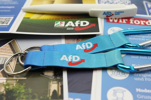 Werbemittel der AfD