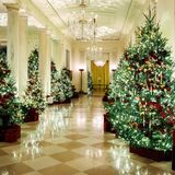 Ob es bei der ganzen Beleuchtung an den Tannenbäumen überhaupt noch die normale Beleuchtung braucht?