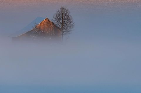 Auch in den kommenden Tagen bleibt es in Bayern oft neblig. (Archivbild) Foto: Karl-Josef Hildenbrand/dpa