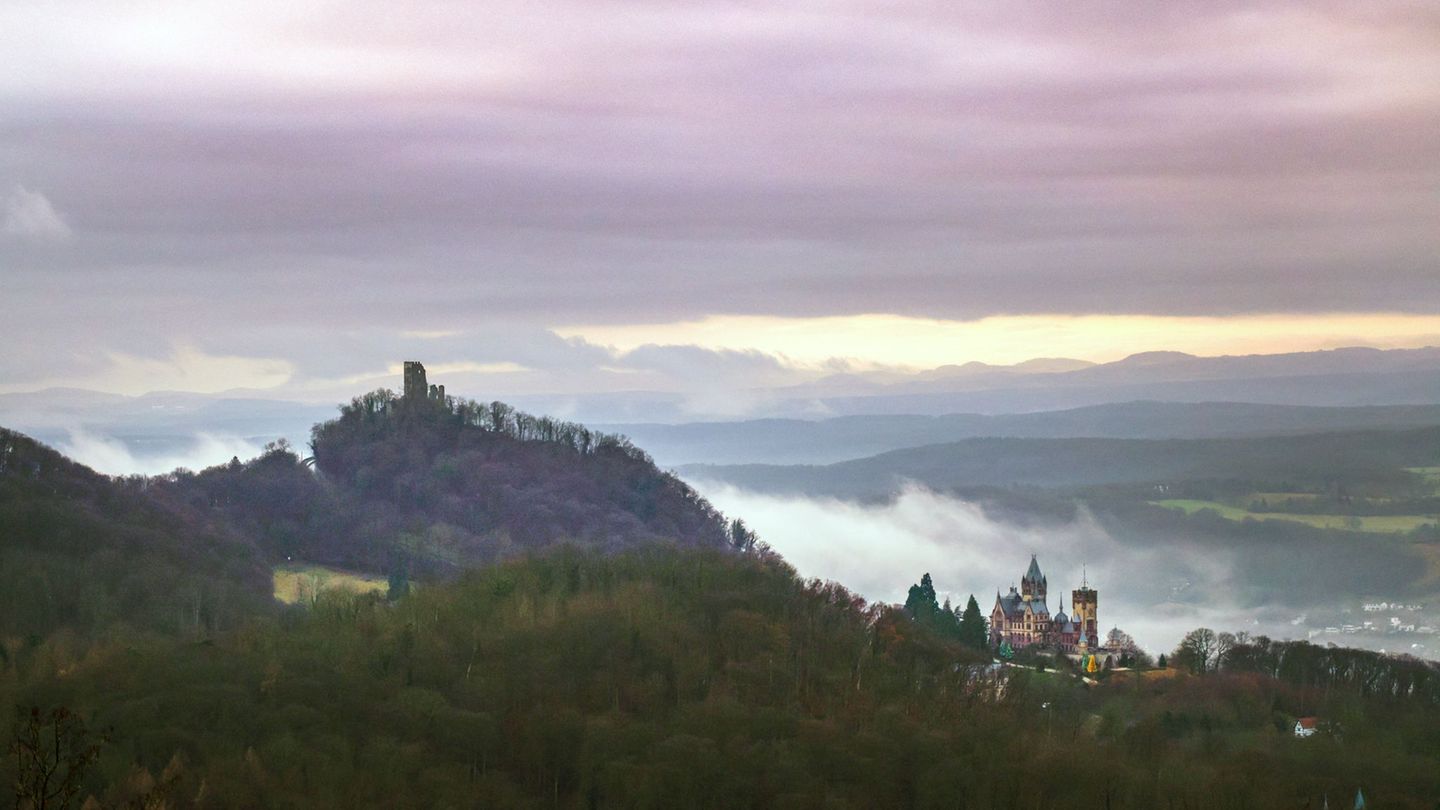 In Königswinter entsteht ein neues Ausflugsziel für kleine und große Dino-Fans. (Archivfoto) Foto: Thomas Banneyer/dpa