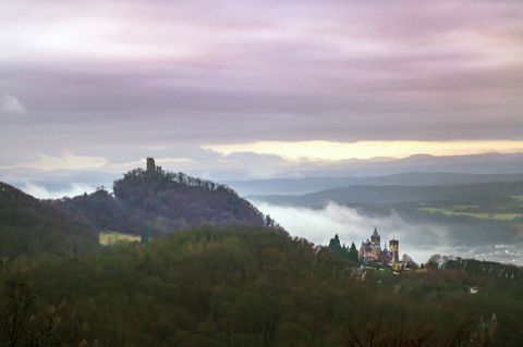 In Königswinter entsteht ein neues Ausflugsziel für kleine und große Dino-Fans. (Archivfoto) Foto: Thomas Banneyer/dpa