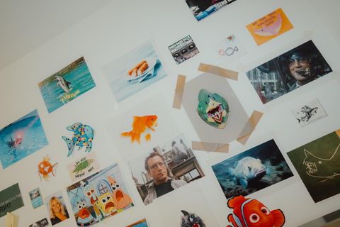 Homeoffice: Eine Wand mit unterschiedlichen Bildern von Fischen