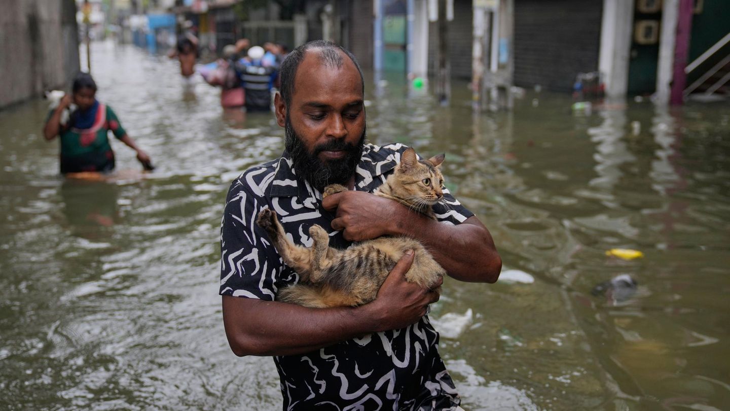 Diesem Mann aus Sri Lanka blieb kaum mehr als die Kleider am Leib und eine Katze