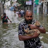 Diesem Mann aus Sri Lanka blieb kaum mehr als die Kleider am Leib und eine Katze