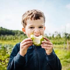 Expertin gibt Tipps: "Die Ernährung von Kindern sollte bunt wie ein Regenbogen sein"