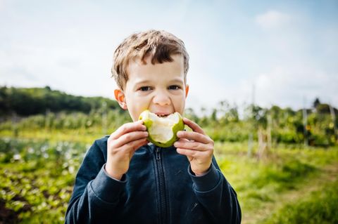Expertin gibt Tipps: "Die Ernährung von Kindern sollte bunt wie ein Regenbogen sein"