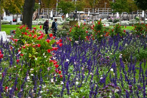 Im vergangenen Jahr fand die Landesgartenschau in Bad Dürrenberg statt. (Archivbild) Foto: Heiko Rebsch/dpa