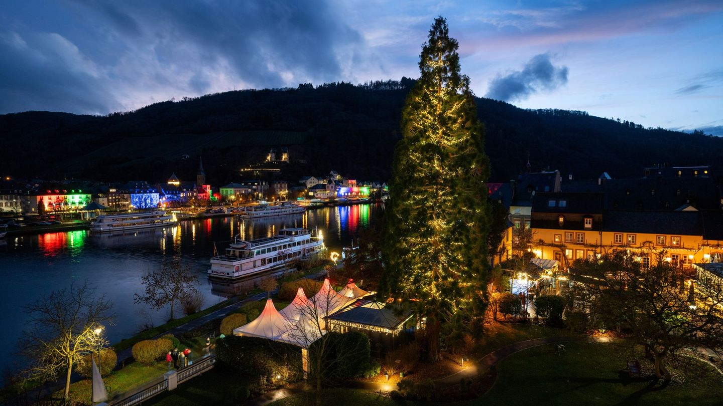 In Traben-Trarbach steht ein besonderer Weihnachtsbaum. Foto: Harald Tittel/dpa
