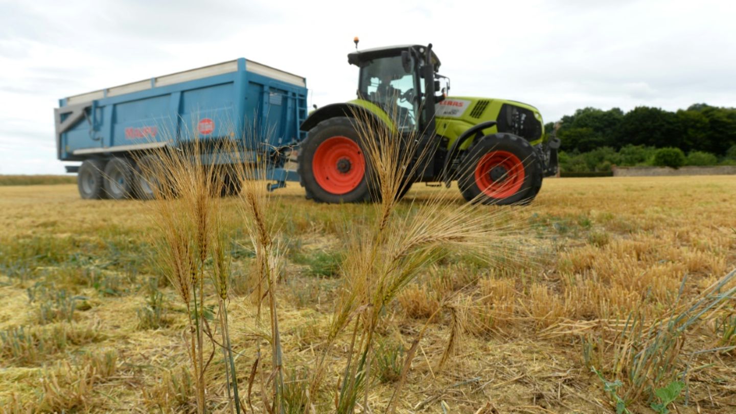 Traktor auf einem Feld