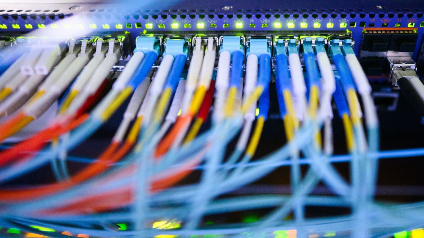 Was würde passieren, wenn von der AfD eingesetzte Beamte auf sicherheitsrelevante Daten zugreifen könnten, fragen sich Innenpoli