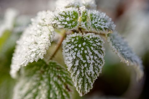 Es bleibt kalt in Baden-Württemberg. Foto: Uwe Anspach/dpa
