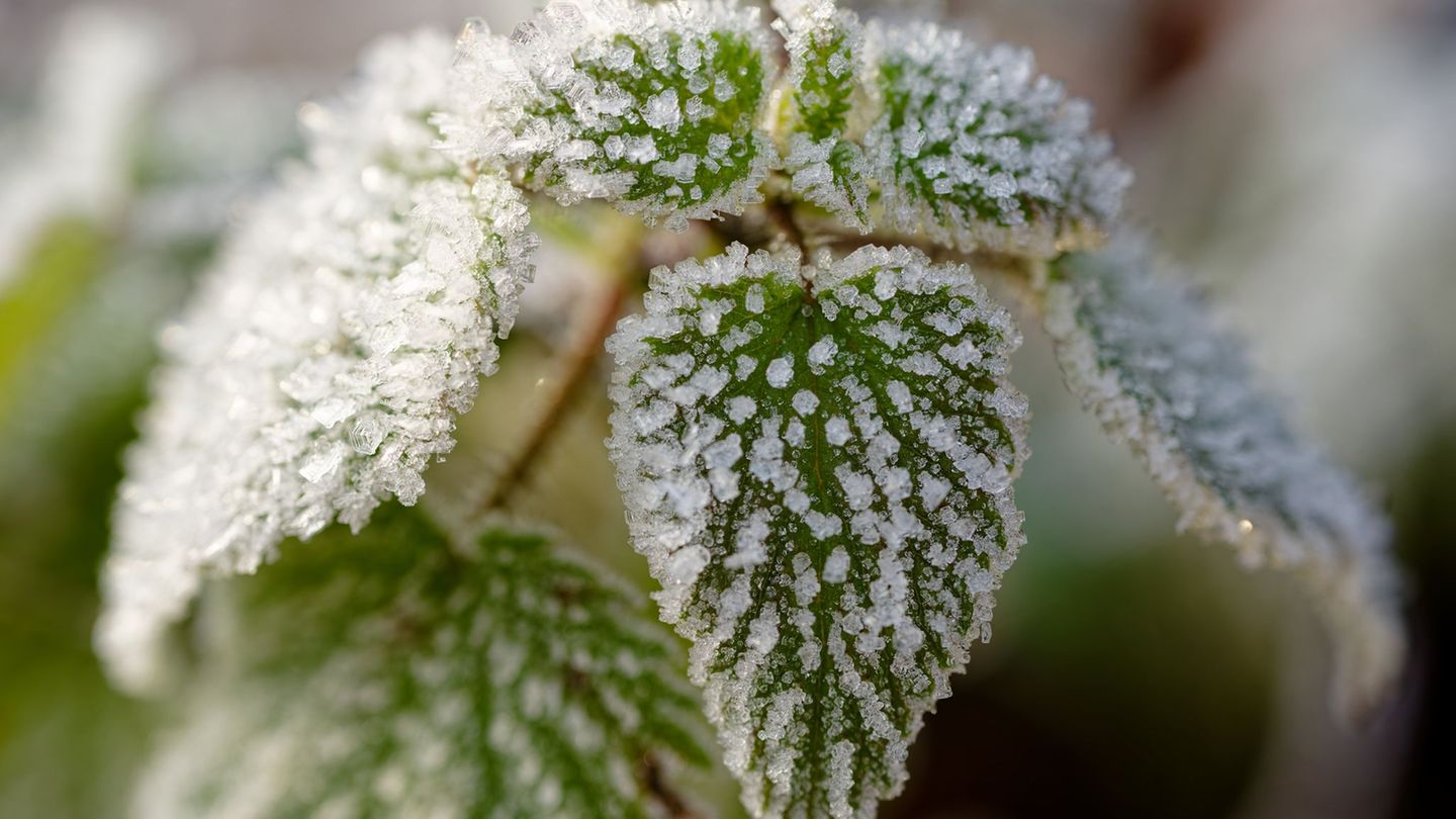 Es bleibt kalt in Baden-Württemberg. Foto: Uwe Anspach/dpa