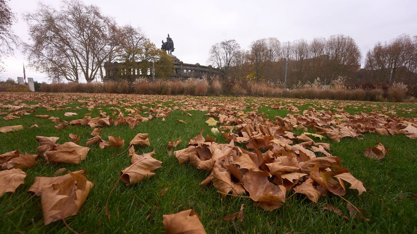 Das Herbstlaub liegt mittlerweile überwiegend am Boden. Das Wetter wird in den nächsten Tagen eher trist und regnerisch. (Archiv
