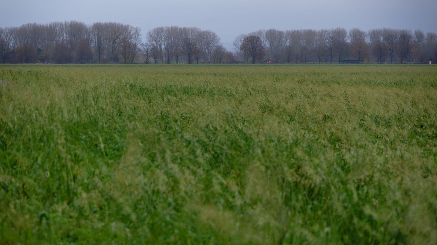 In den nächsten Tagen ist immer wieder Regen möglich. In der Nacht wird es bei Temperaturen knapp unter 0 Grad auch mal glatt. (
