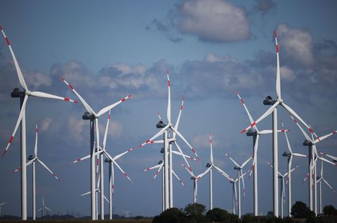 Die Windkraft war 2024 wichtigster erneuerbarer Energieträger in Schleswig-Holstein (Symbolbild). Foto: Christian Charisius/dpa