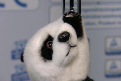 Ein Plüschpanda im Produkttest