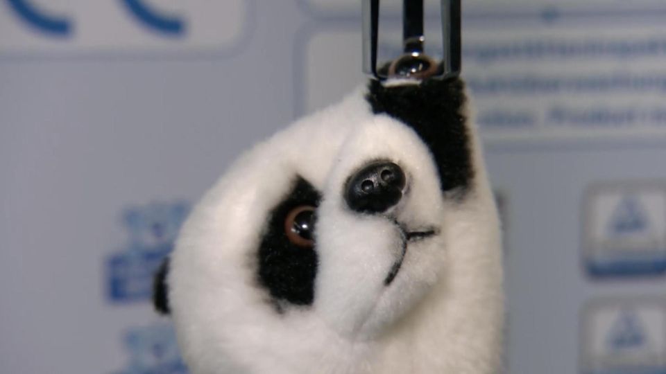 Ein Plüschpanda im Produkttest