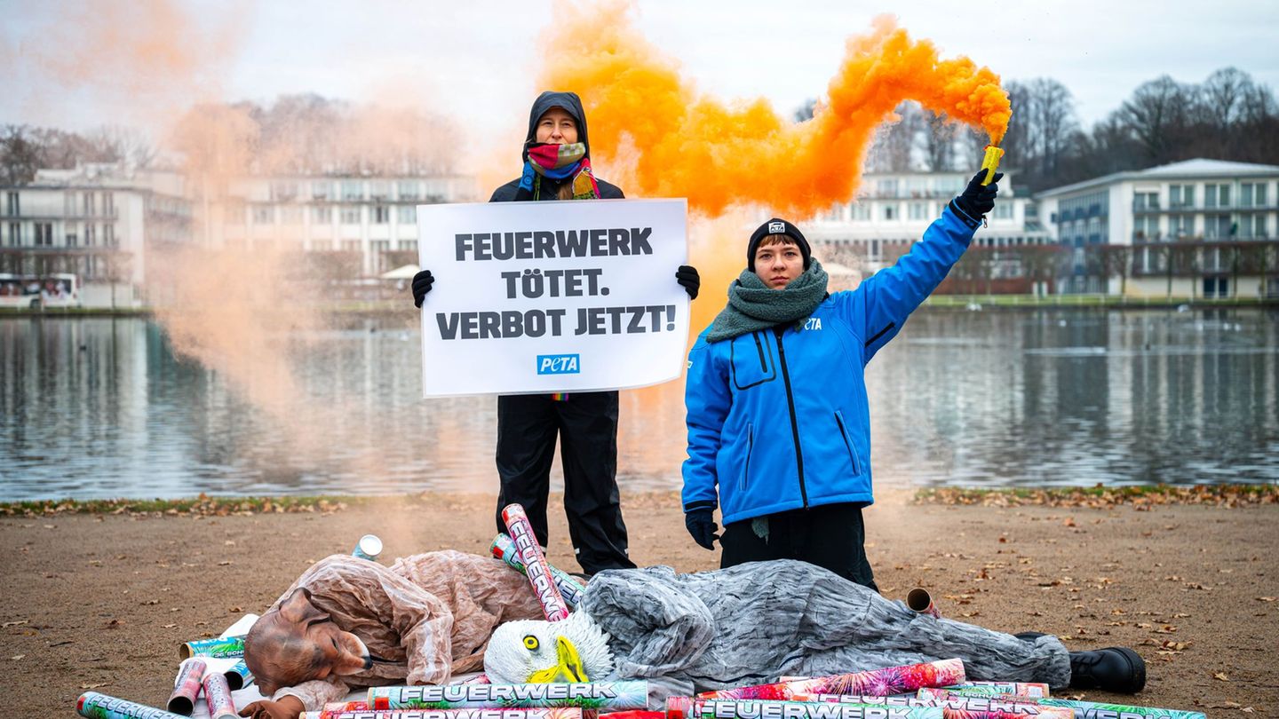 Fünf Aktivisten versammelten sich vor der Konferenz. Foto: Sina Schuldt/dpa