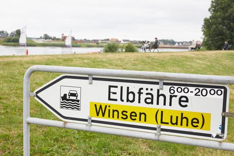 Ein 89-Jähriger ist mit seinem Auto in die Elbe gefahren. (Symbolbild) Foto: Georg Wendt/dpa